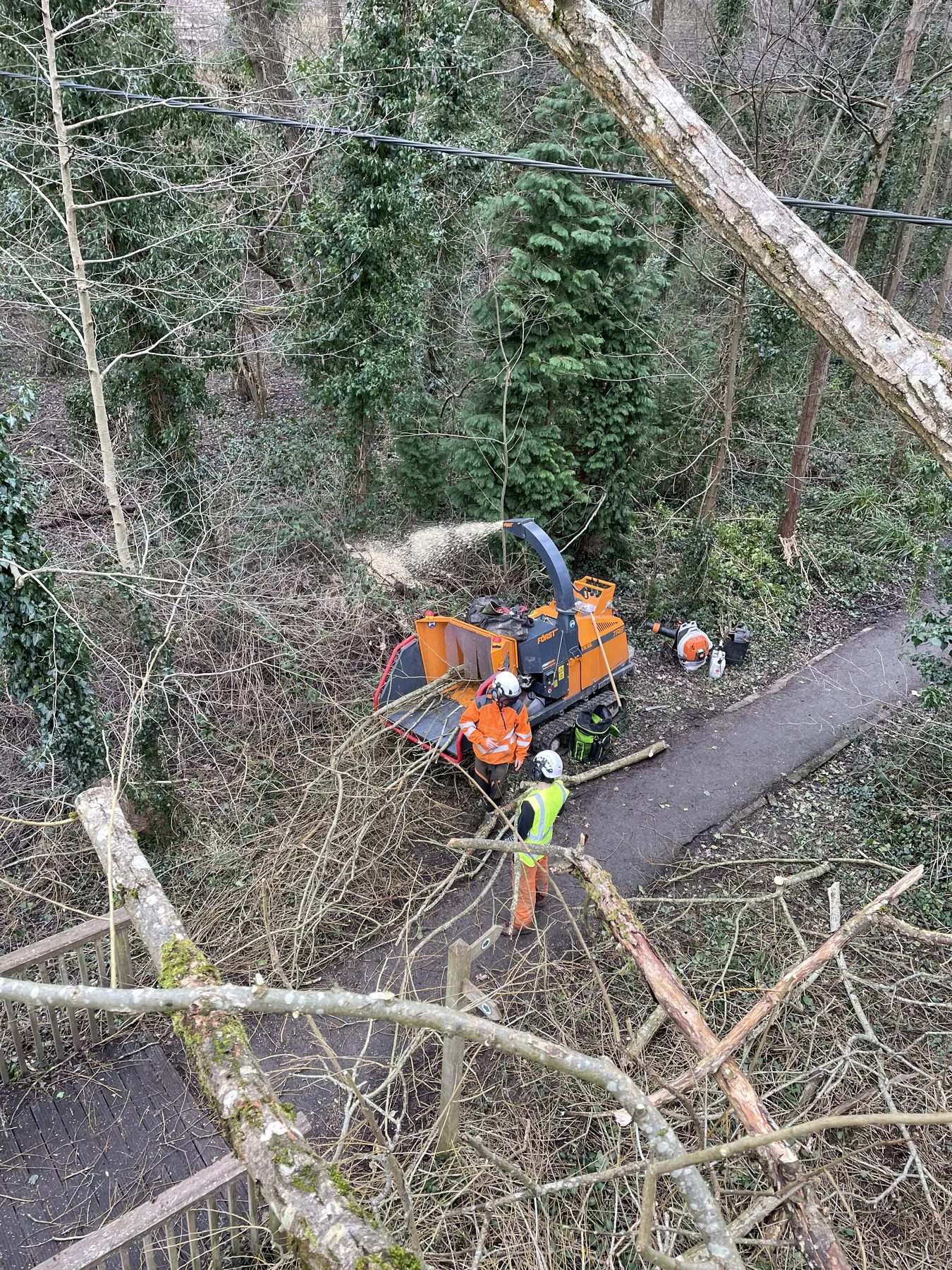 Tree surgery equipment in use